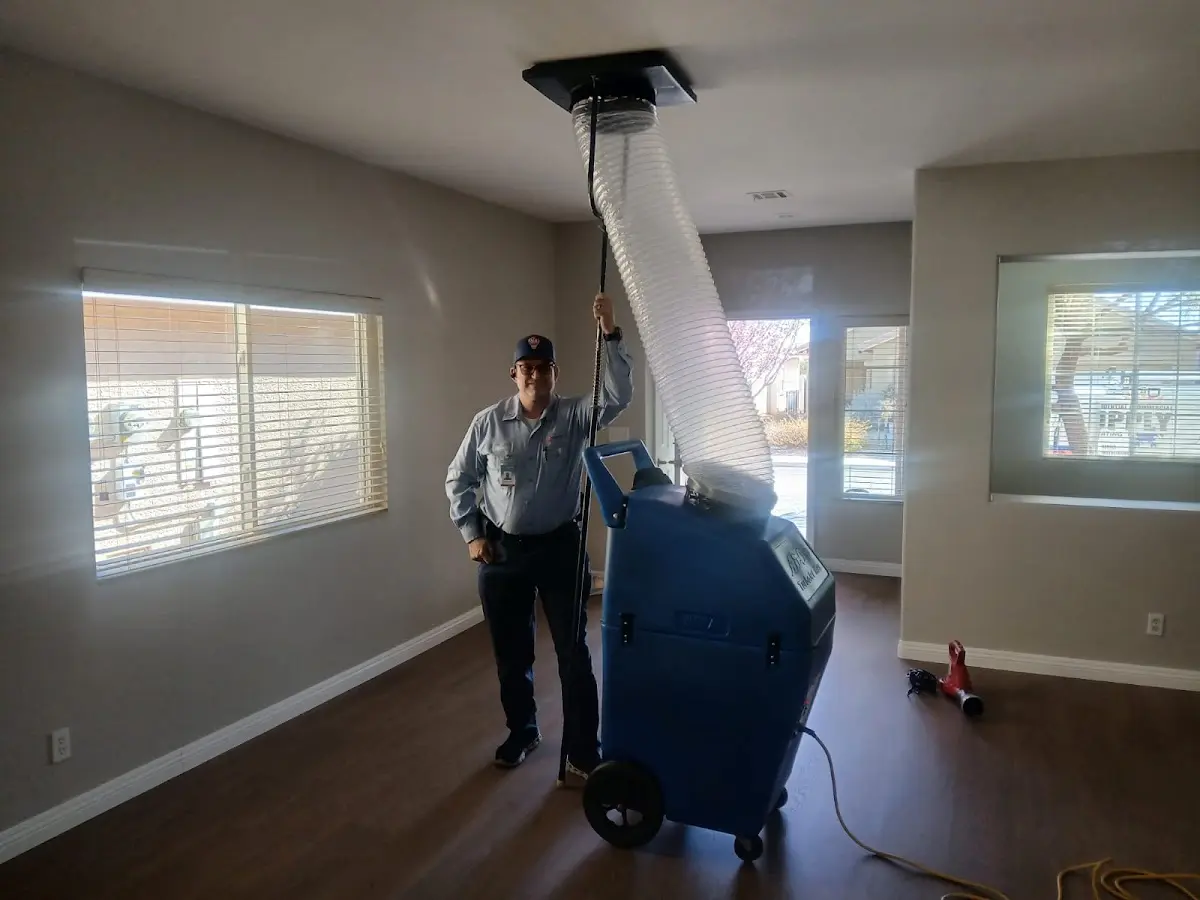 Professional Dryer Vent Cleaning work inside a Cold Spring home